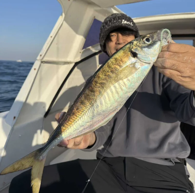 バチコン ギガアジ