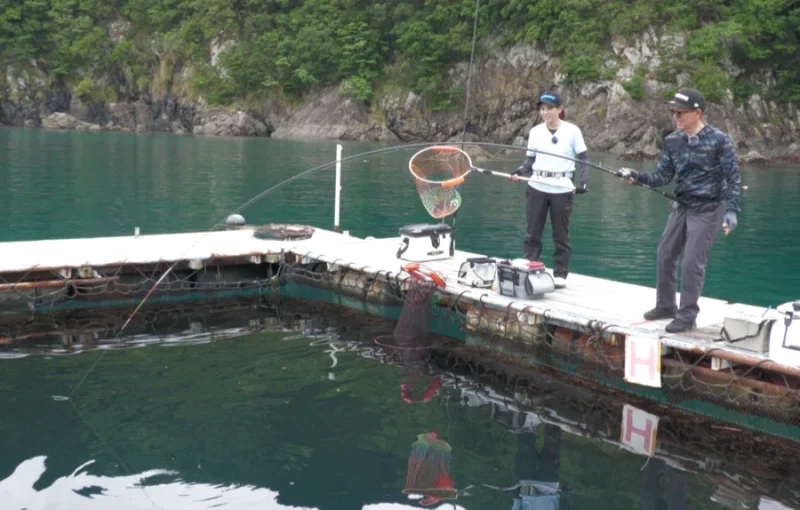 ベイトサグリで青物