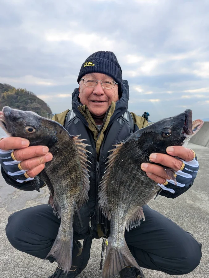 似島の波止で釣れたチヌ