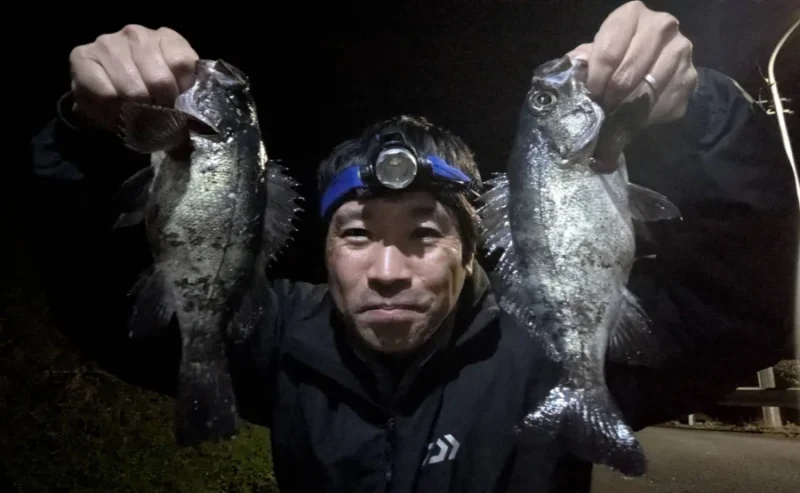 ライトゲーム 愛媛メバル