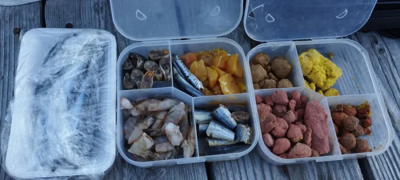 海上釣り堀 サシエ