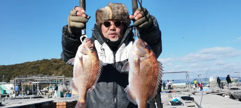 ミュージシャン久谷のマダイ