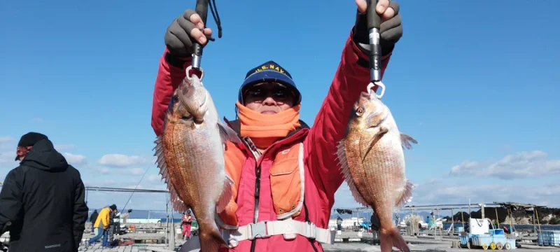 海上釣り堀 マダイ