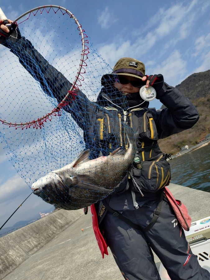 似島で釣ったチヌ