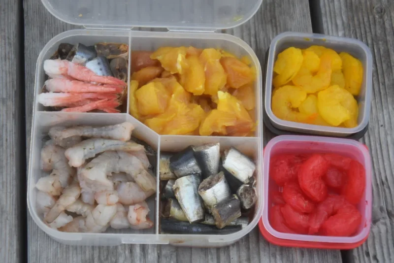 海上釣り堀 トラフグ エサ