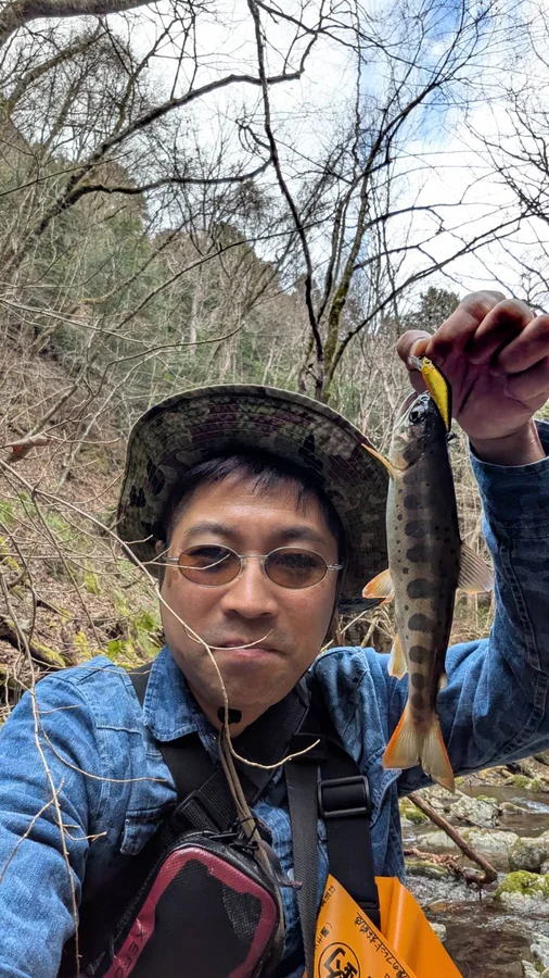 D-コンタクトで釣れたアマゴ