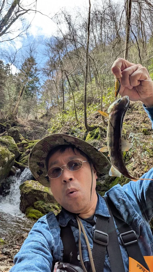 愛媛のアマゴ釣り