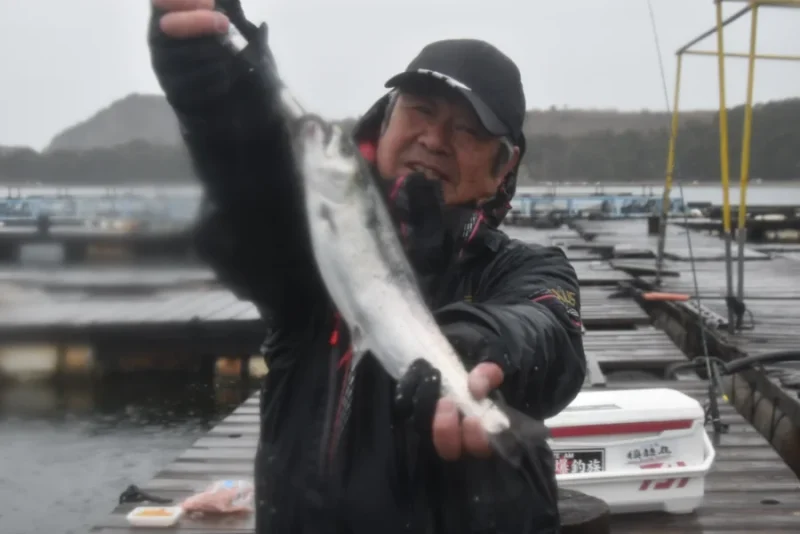 海の釣堀 サクラマス