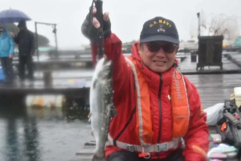 海上釣り堀のサクラマス