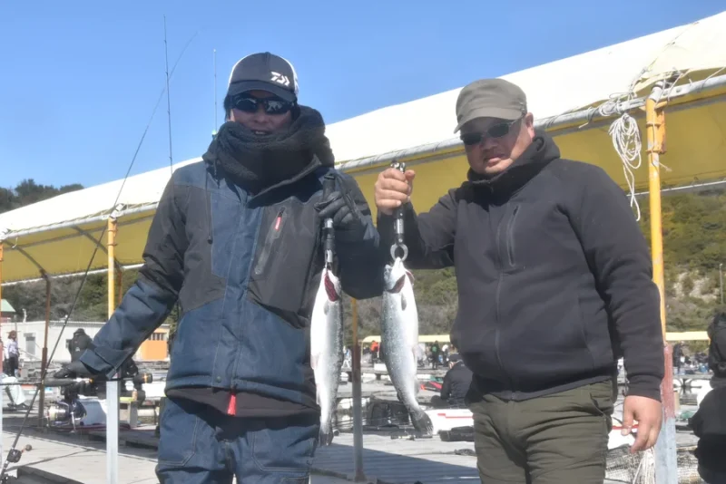 海上釣り堀サーモン釣果