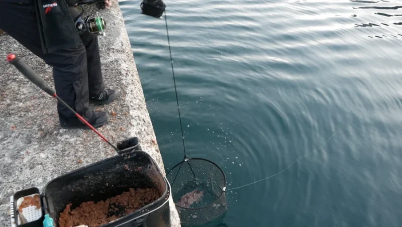 ドロップネット持ち上げる