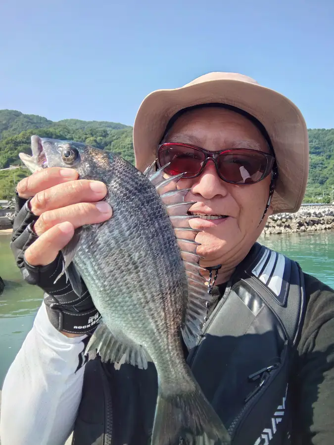 周防大島 チヌ