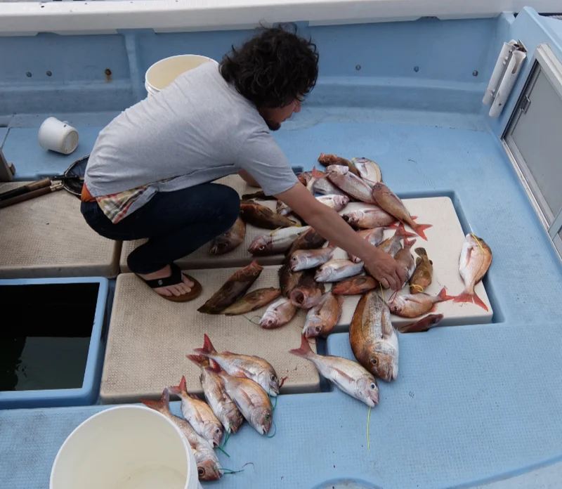 ネコノテ観光業 釣果