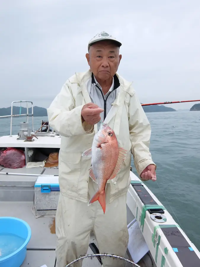 美しい真鯛食べ頃サイズ