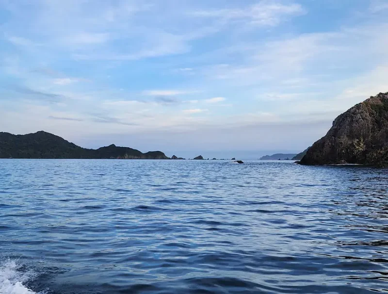 秋目島 磯