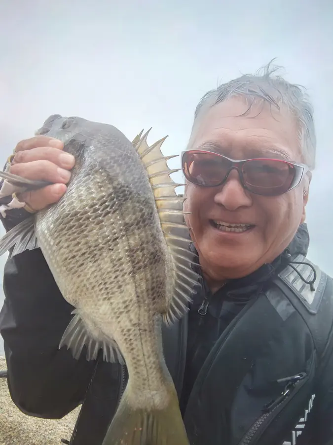 釣れたチヌ