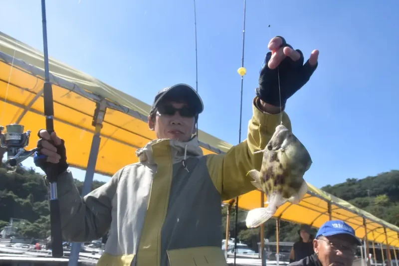 カワハギを釣る